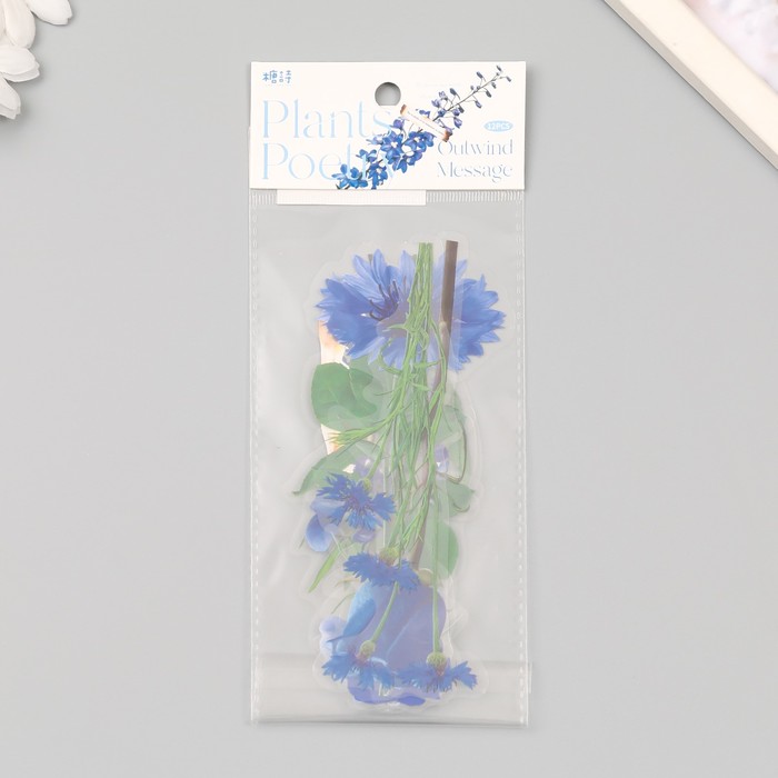 Наклейки пластик "Цветы и цитаты. Голубые" набор 12 шт 8,5х21,5х0,2 см
