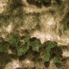 Костюм летний мужской Противоэнцефалитный, цвет MХ Green ВО20, рост 170-176, размер 44-46 - Фото 7