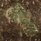 Костюм летний мужской Противоэнцефалитный, цвет Net NV1809, рост 182-188, размер 48-50 - Фото 8