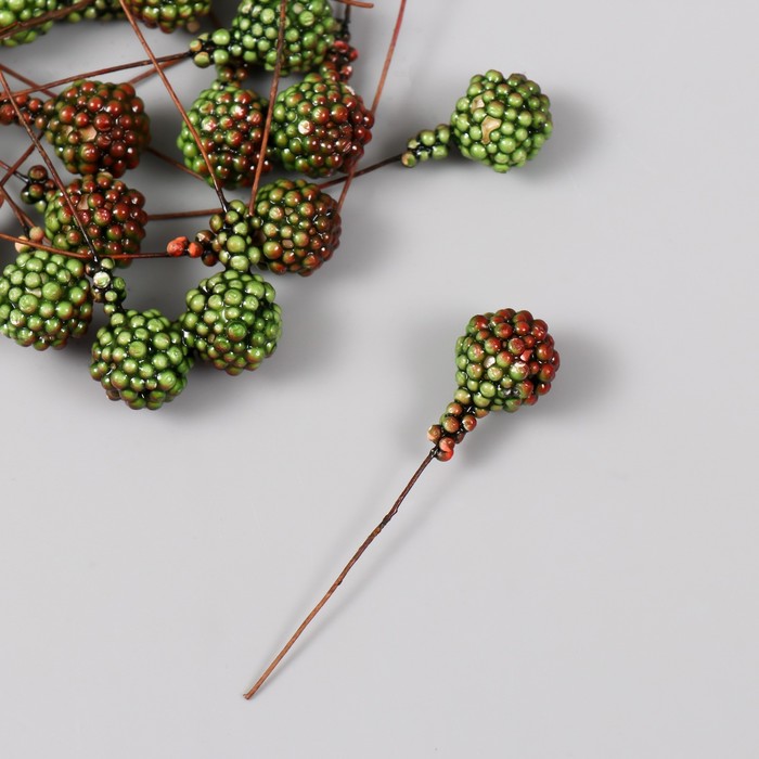 Декор для творчества "Ежевика" набор 25 шт коричнево-зелёный 1,4х1,4х6,3 см