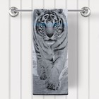 Полотенце махровое Tiger, размер 70х140 см - фото 301315679