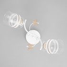 Люстра «Мия», 2×60 Вт Е27, белый/золото, 53×18×24 см - Фото 4