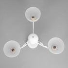 Люстра «Лаура», 3×60 Вт Е27, белый/хром, 59×27×20 см - Фото 4