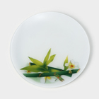 Набор стеклянных тарелок Доляна «Бамбук», 7 предметов - фото 4446053