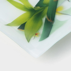 Блюдо стеклянное Доляна «Бамбук», 36,5×15 см, цвет белый - Фото 3