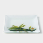 Тарелка стеклянная Доляна «Бамбук», 19,5×19,5 см - фото 4446096