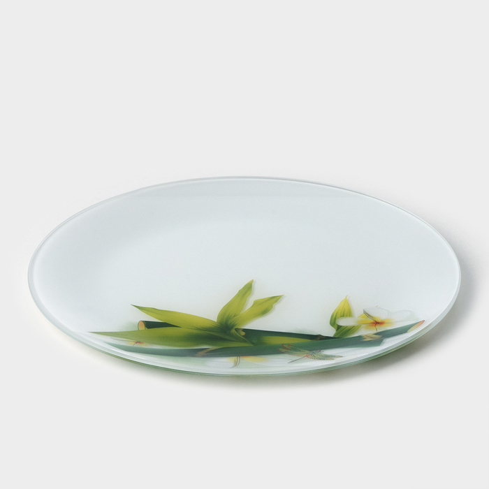 Тарелка стеклянная Доляна «Бамбук», d=21,5 см