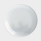 Тарелка стеклянная Доляна «Бамбук», d=21,5 см - Фото 5