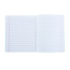 Тетрадь 12 листов узкая линейка «Зелёная обложка», с алфавитом, термоупаковка, фасовка по 25 шт. - Фото 2