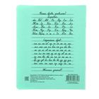 Тетрадь 12 листов узкая линейка «Зелёная обложка», с алфавитом, термоупаковка, фасовка по 25 шт. - Фото 3