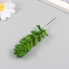 Искусственный суккулент для создания флорариума "Очиток Моргана"набор 4 шт 6х11 см (комплект 2 шт) - фото 23929001