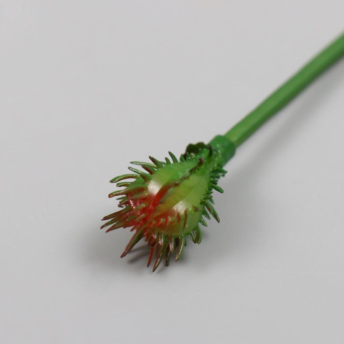 Искусственный суккулент для создания флорариума "Стапелия" 9 см