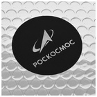 Перчатки РОСКОСМОС х ONLYTOP, р. S-M, чёрные - Фото 15