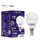 Лампа светодиодная TOKOV ELECTRIC, 7 Вт, G45, 4000 К, Е14, 176-264В - фото 321495032