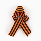 Значок с георгиевской лентой 9 Мая «Помним и гордимся», 25×2.5 см - Фото 5