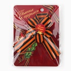 Значок с георгиевской лентой 9 Мая «Помним и гордимся», 25×2.5 см - Фото 6