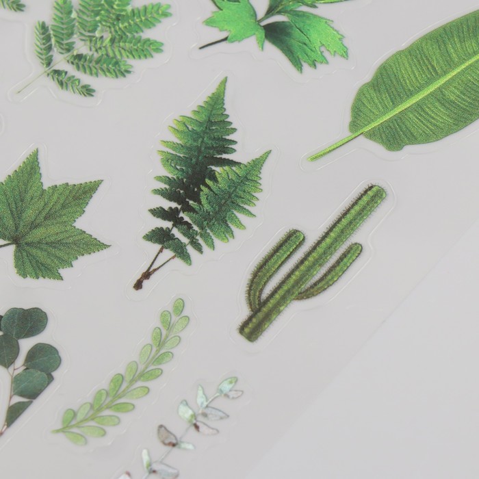 Наклейки для творчества PVC "Зелёные растения" набор 2 листа 10х15 см