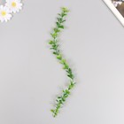 Искусственное растение для творчества "Лиана из листьев эвкалипта" набор 6 шт 39 см - Фото 2