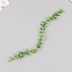 Искусственное растение для творчества "Лиана из листьев эвкалипта" набор 6 шт 39 см - Фото 3