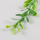 Искусственное растение для творчества "Лиана из листьев эвкалипта" набор 6 шт 39 см - Фото 4