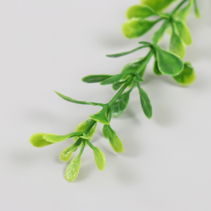 Искусственное растение для творчества "Лиана из листьев эвкалипта" набор 6 шт 39 см