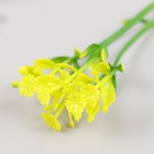 Искусственное растение для творчества "Чистотел" набор 12 шт жёлтый 9 см - Фото 5