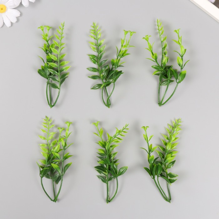 Искусственное растение для творчества "Иглица с цветками" набор 6 шт зелёный 12,5 см - Фото 1