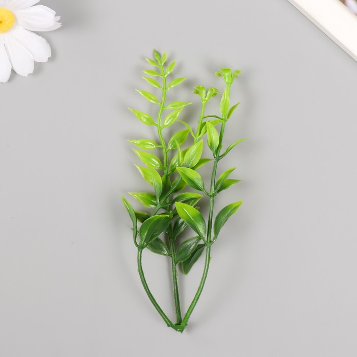 Искусственное растение для творчества "Иглица с цветками" набор 6 шт зелёный 12,5 см