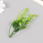 Искусственное растение для творчества "Иглица с цветками" набор 6 шт зелёный 12,5 см - Фото 3