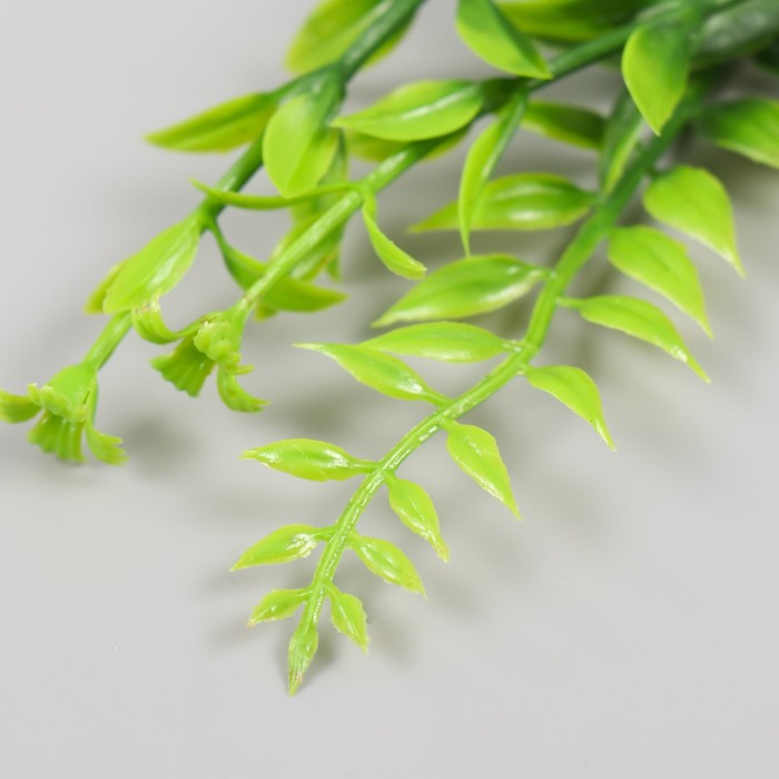 Искусственное растение для творчества "Иглица с цветками" набор 6 шт зелёный 12,5 см