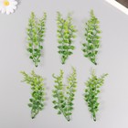 Искусственное растение для творчества "Эпипремнум" набор 6 шт 15 см - фото 3421197