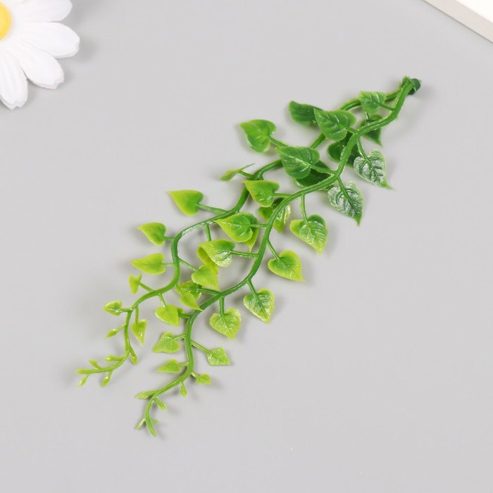 Искусственное растение для творчества "Эпипремнум" набор 6 шт 15 см