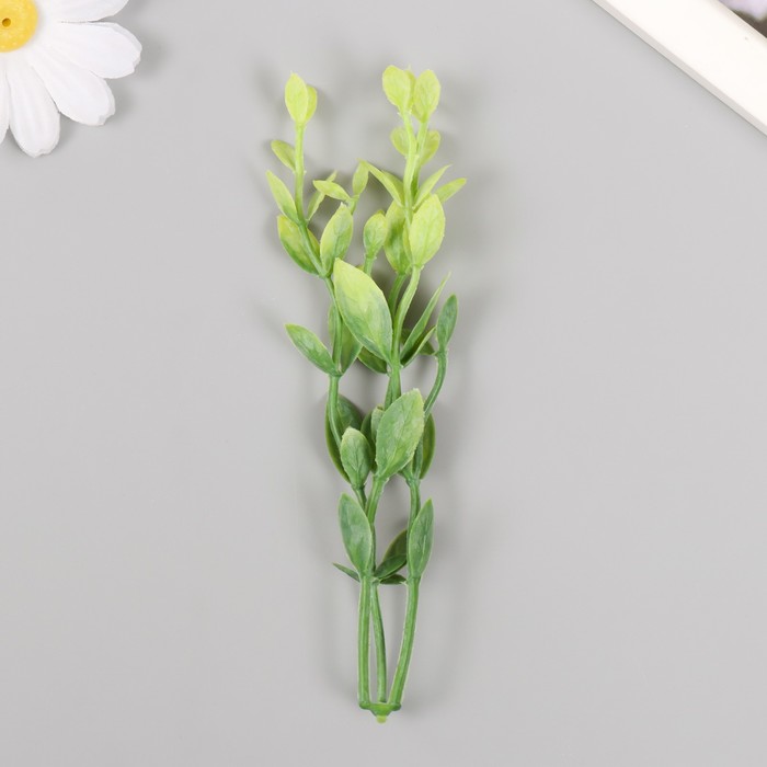 Искусственное растение для творчества "Листья фикуса" набор 6 шт зелёный 12 см