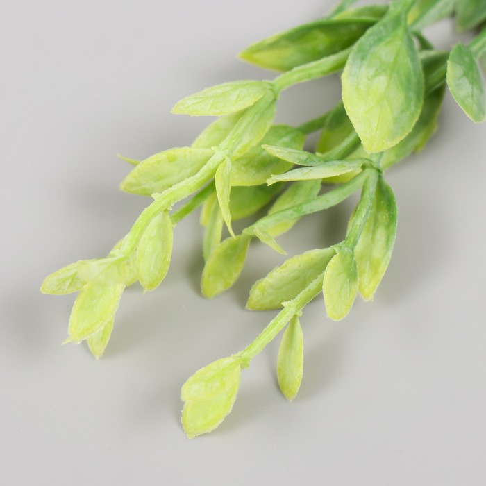 Искусственное растение для творчества "Листья фикуса" набор 6 шт зелёный 12 см