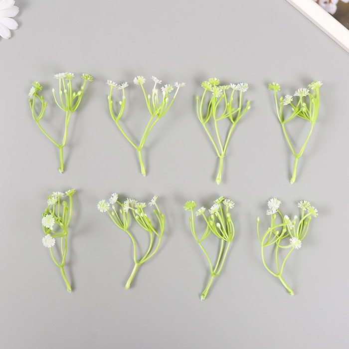 Искусственное растение для творчества "Цикорий" набор 8 шт белый 10 см - Фото 1