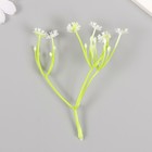 Искусственное растение для творчества "Цикорий" набор 8 шт белый 10 см - фото 11265660