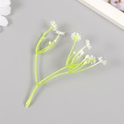 Искусственное растение для творчества "Цикорий" набор 8 шт белый 10 см - фото 11265661