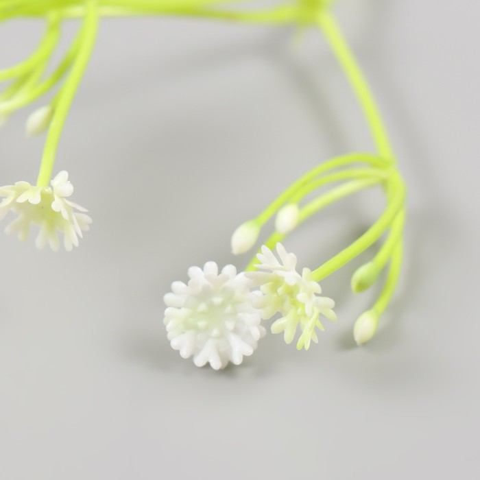Искусственное растение для творчества "Цикорий" набор 8 шт белый 10 см