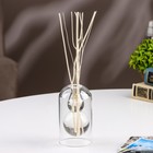 Диффузор ароматический в подарочной упаковке Aromame, голубые колокольчики, 120 мл - Фото 2