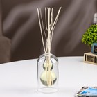 Диффузор ароматический в подарочной упаковке Aromame, гардения жасминовидная, 120 мл - Фото 2