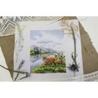 Набор для вышивания «Дары Севера» 20 × 16 см - фото 23929541