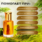 Бальзам жидкий разогревающий противовоспалительный с экстрактом земляного дракона, 12 мл - Фото 2