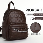 Рюкзак женский на молнии, с карманами, размер 24×12×30 см, коричневый - Фото 1