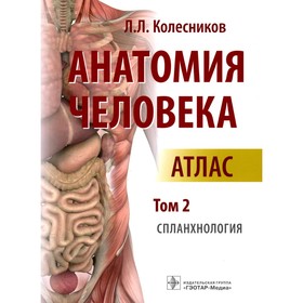 Анатомия человека. Атлас: В 3-х томах. Том 2. Спланхнология. Колесников Л.Л.