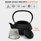 Чайник Magma «Танан», 800 мл, с ситом, с эмалированным покрытием внутри, индукция, чугун, чёрный - Фото 2