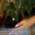 Коврик для пересадки растений, гибкое стекло, 80 × 100 см - Фото 2