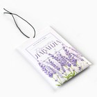 Ароматизатор для дома (саше) «Душистая лаванда», 10 гр. - Фото 2
