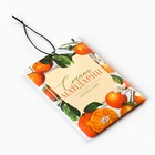 Ароматизатор для дома «Сочный мандарин» аромасаше, аромат мандарин - Фото 2