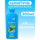 Шампунь SHAMTU Глубокое очищение и свежесть с экстрактами трав, 300 мл - Фото 1