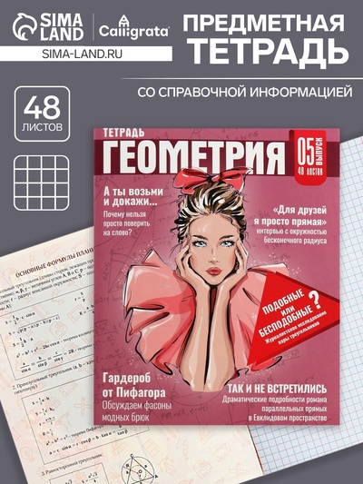 Тетрадь предметная 48 листов в клетку Calligrata «Журнал. Геометрия», картонная обложка, серые листы